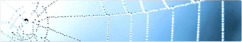 webdesign-web-ontwerp-website-design.png
